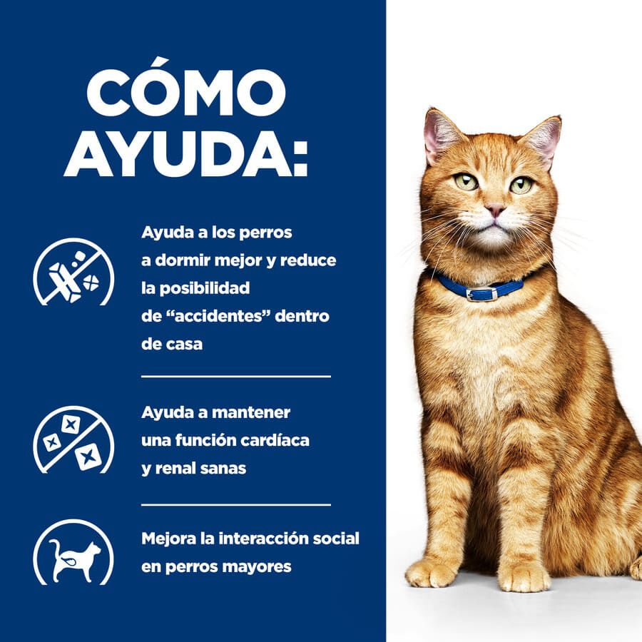 82 g Hill&rsquo;s Prescription Diet c/d Urinary Care Pollo lata para gatos, , large indicador imagen numero 4